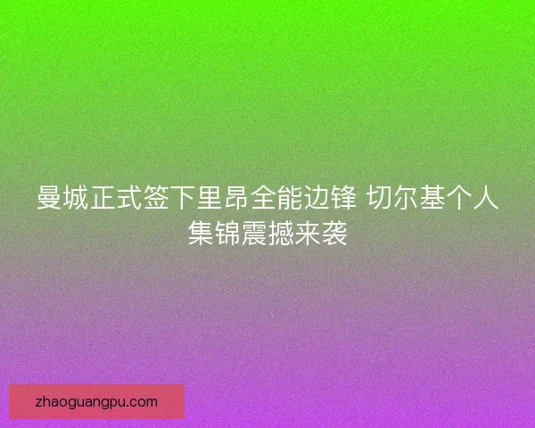 曼城正式签下里昂全能边锋 切尔基个人集锦震撼来袭