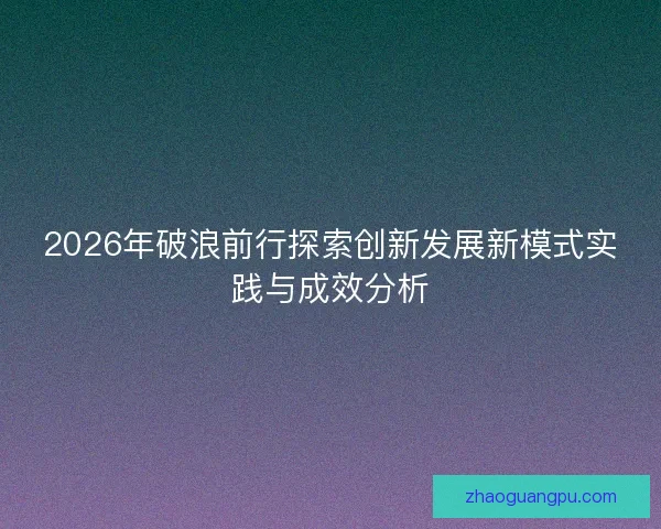 2026年破浪前行探索创新发展新模式实践与成效分析