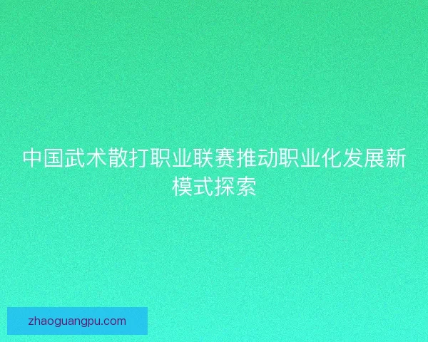 中国武术散打职业联赛推动职业化发展新模式探索
